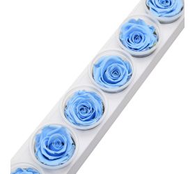 Ruža preparovaná 6,5cm baby blue /ks