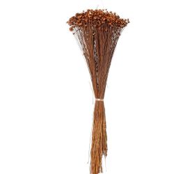 Glixia 50g, hnedá/zv