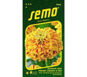 Cínia popart golden and red 0,25g