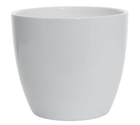 27810 obal alaska weiss 920/19