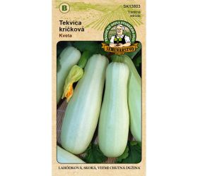 Tekvica kr. obyč. kveta 4g