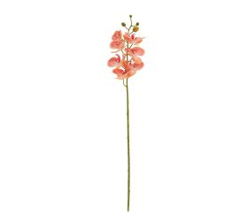 Ks orchidea x7 73cm ružovožltá