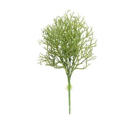 Zeleň korál zelený 40cm