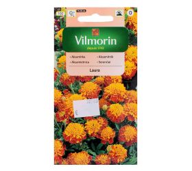 Aksamietnica rozložitá laura 1g