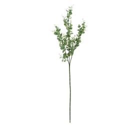 Zeleň eucalyptus baby blue zelený 67cm