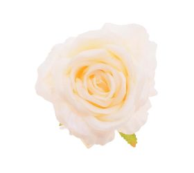 Hlava ruža krémovo-zelená priem:10cm bal:12ks