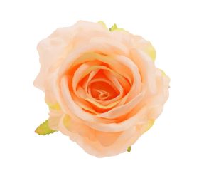 Hlava ruža marhuľová priem:10cm bal:12ks