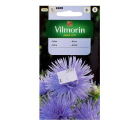 Astrovka čínska ihlic. agnieszka 0,5g