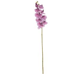 Ks orchidea phalaenopsis fialová 102cm