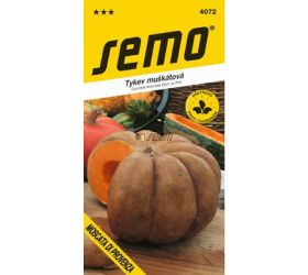 Tekvica moscata di provenza 2g