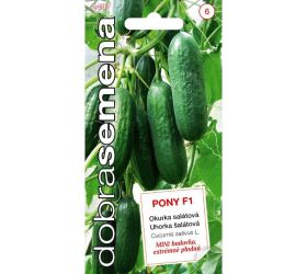 Uhorka šalátová pony f1 10s.