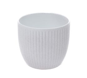 Obal belice coconut 19cm