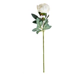 Ks pivonia s pukom biela 70cm