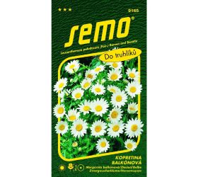 Margarétka balkónová sněhurka 0,3g