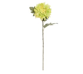 Ks chryzantéma zelená 68cm