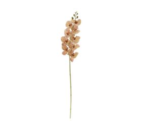 Ks orchidea phalaenopsis bledo-hnedá 100cm