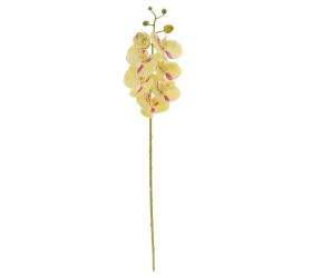 Ks orchidea phalaenopsis bledo žltá, ružový melír 73cm