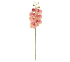 Ks orchidea phalaenopsis žlto-cyklaménová 73cm