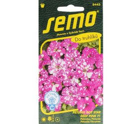 Petúnka dot star deep pink f1 40p