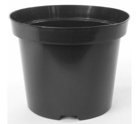 Kontajner 30/31cm, 12lsbx