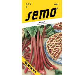 Rebarbora holsteiner blut 1g