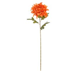 Ks chryzantéma oranžová 72cm