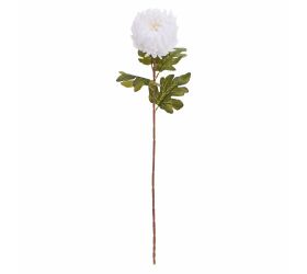 Ks chryzantéma biela 75cm