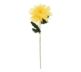 Ks chryzantéma žltá 60cm