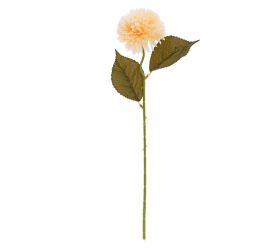 Ks chryzantéma pom-pom krémová 45cm