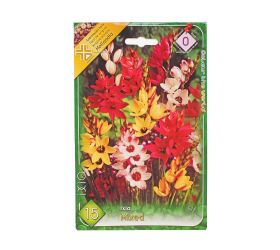 Ixia mix