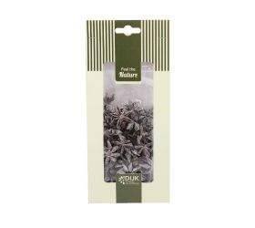 Star anise nature silver-wash 10x5x22cm