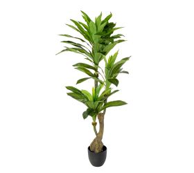 Dracena strom v plast. kvetináči zel.140cm