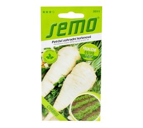 Petržlen záhradný orbis - koreňový predklíčený