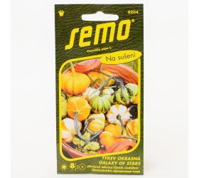 Tekvica okr.galaxy of stars f1 12s