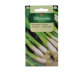 Cibuľa zimná bajkal 2g