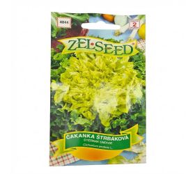 Čakanka štrbáková riccia cuor doro 1g