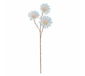 Ks astra metalová 60cm