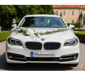 Svadobná ŠPZ, rôzne motívy