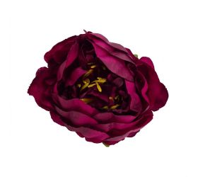 Hlava pivonka cyklamenovo-fialová p:10cm bal:12ks