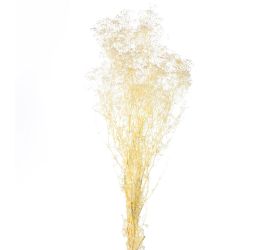 Gypsophila - bielená sušená million /zv