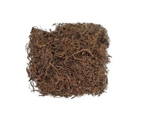 3798 curly moss prírodný 250g