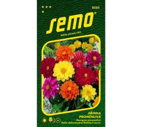 Georgína premenlivá komp zmes 1g