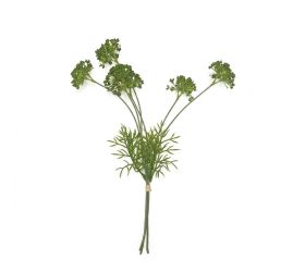 Zväzok daucus zelený 38cm