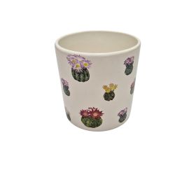 Obal kaktus mini farebný  13,2xv13,8cm