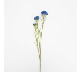 Ks nevädza mix/2f 66cm