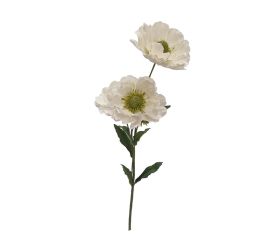 Ks papaver biely 71cm
