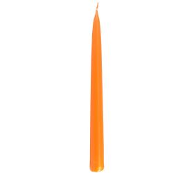 Kónická špic oranž.