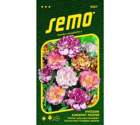 Klinček záhradný picotee 0,25 g