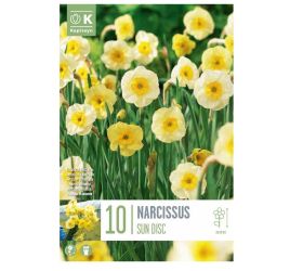 Narcis sundisc 10ks
