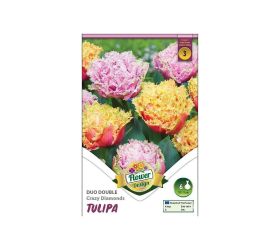 Tulipán duo crazy diamonds 6ks